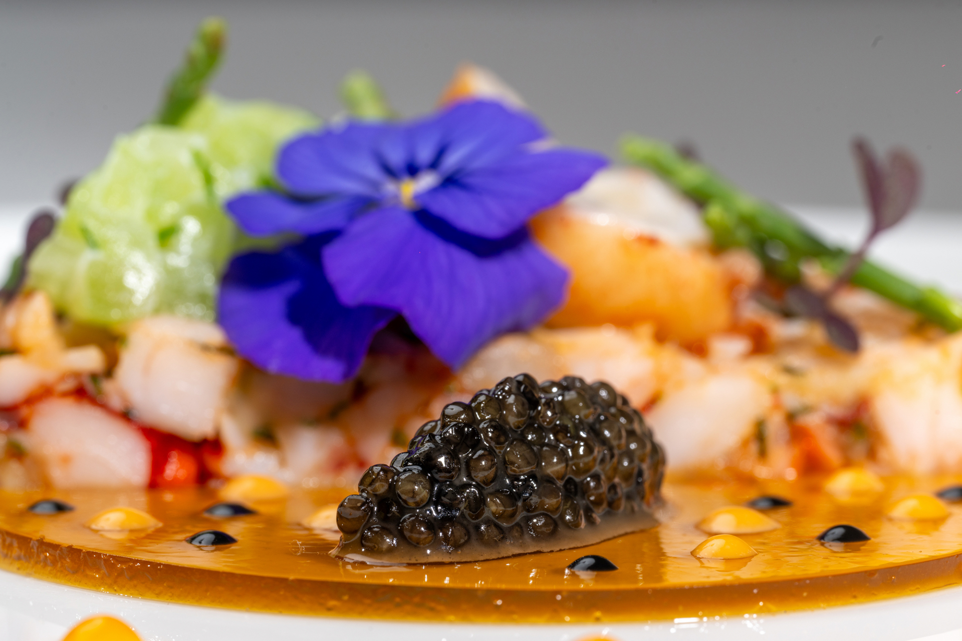 Service Traiteur Monblanc Institut Culturel Bernard Magrez